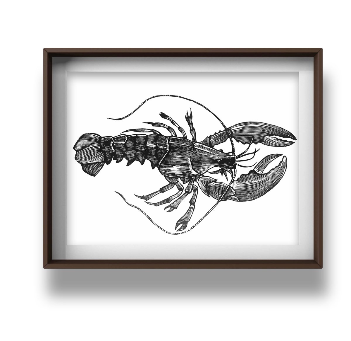 Linocut , Black Lobster By Amy Cundall, 16 X 12, Artwork For Sale On Artfinder