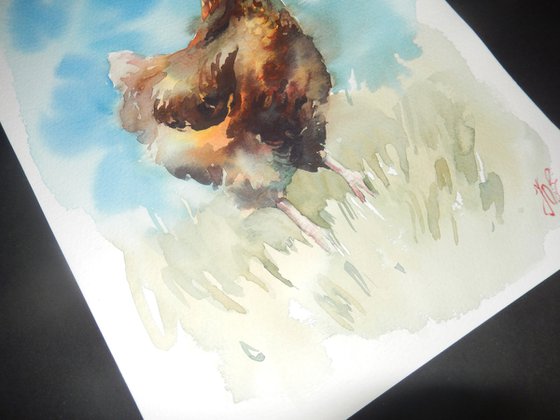 Сhicken in watercolor, Farm life, Bird painting