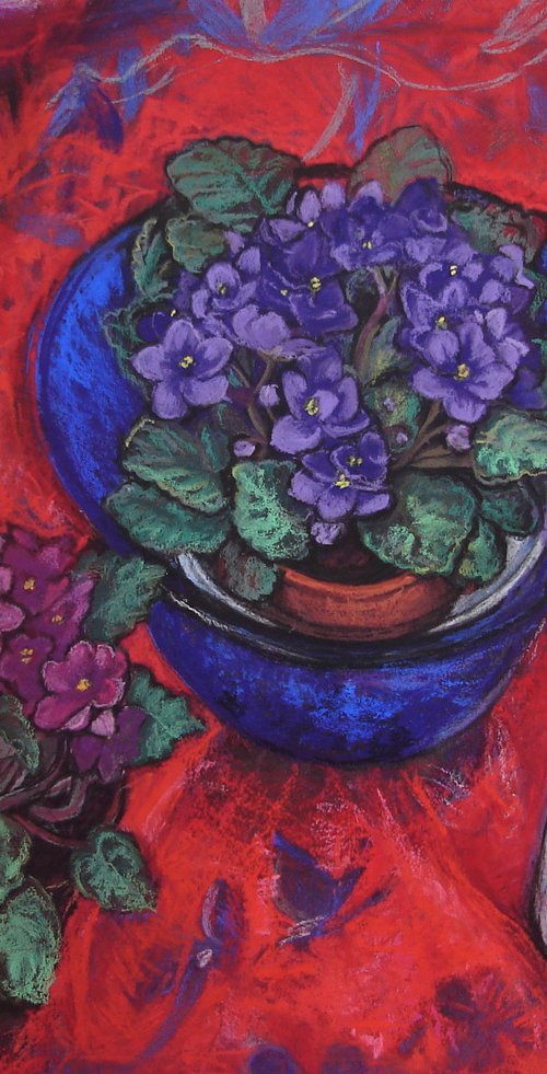 Still life African Violets on red background by Patricia Clements