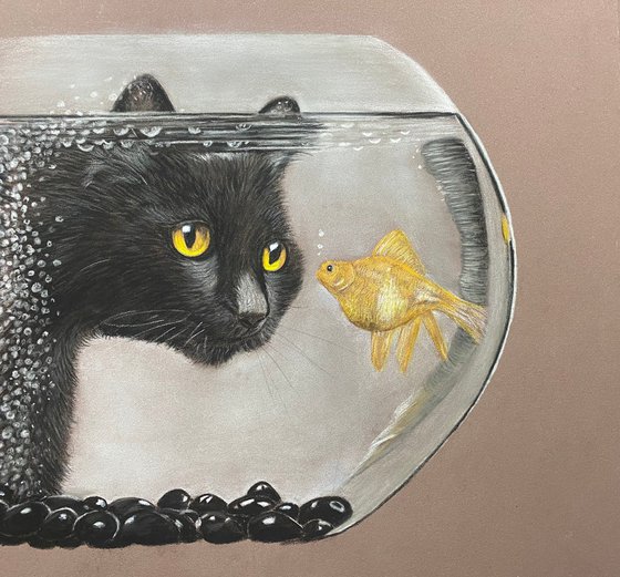 Cat watching goldfish