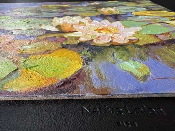 Water Lilies