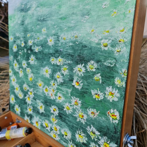 Daisies 2