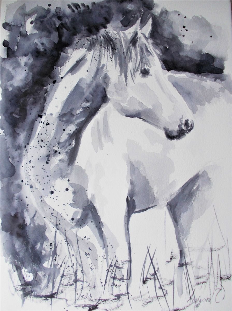 Horse -Original black and white watercolor painting by Antigoni Tziora