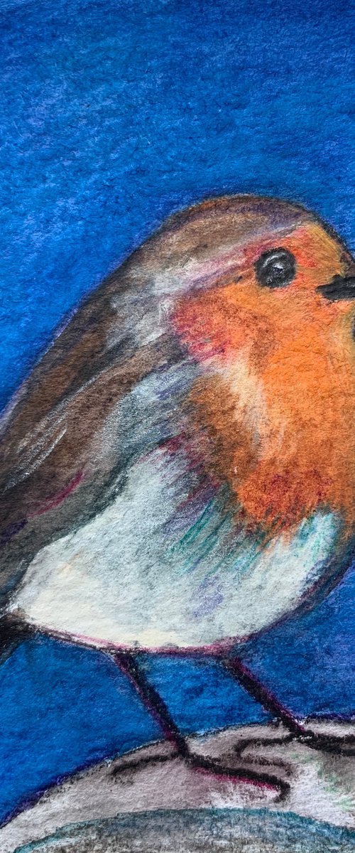 Robin Redbreast by Dawn Rodger