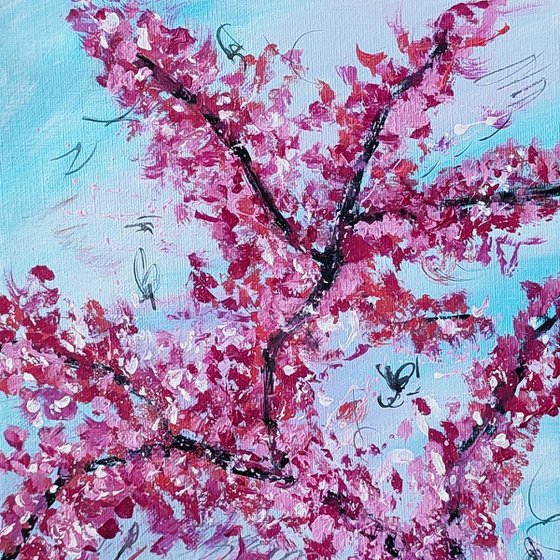 Les fleurs du cerisier