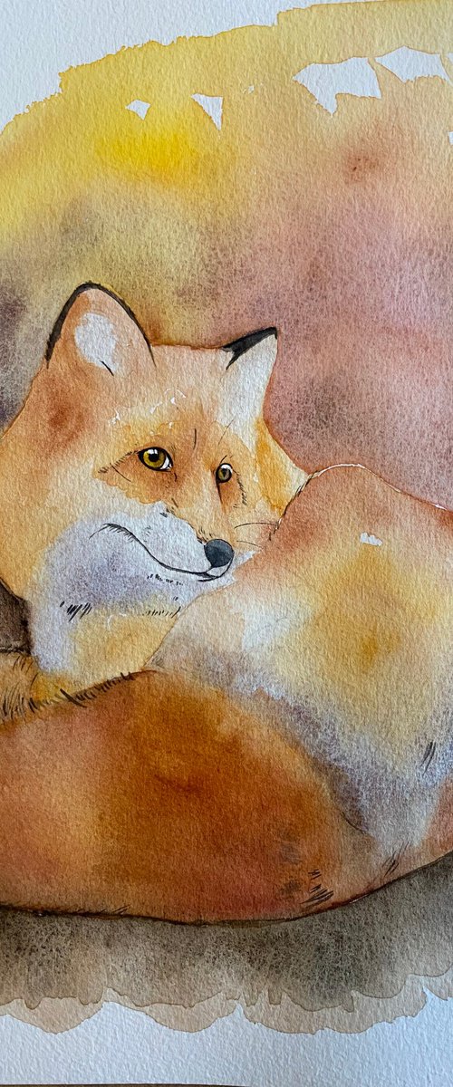 Foxy. Watercolour painting by Bethany Taylor