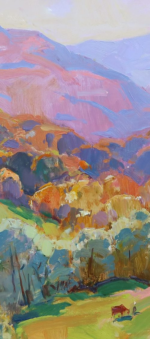 October sun. Carpathians by Aleksandr  Kryushyn