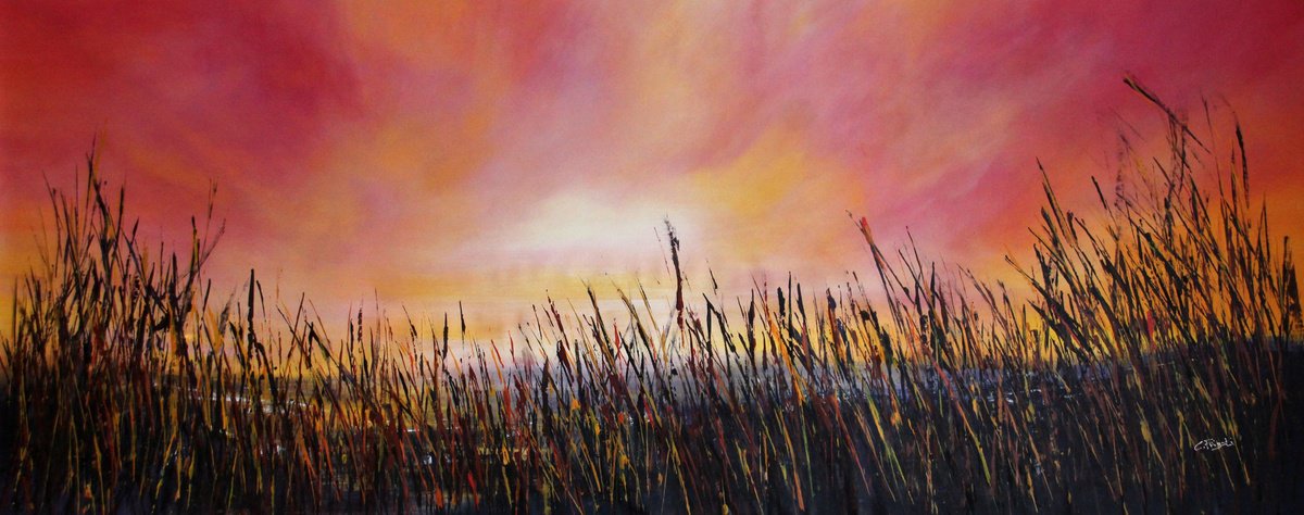 Sunset #9 By Cecilia Frigati, 83 X 35, Artwork For Sale On Artfinder