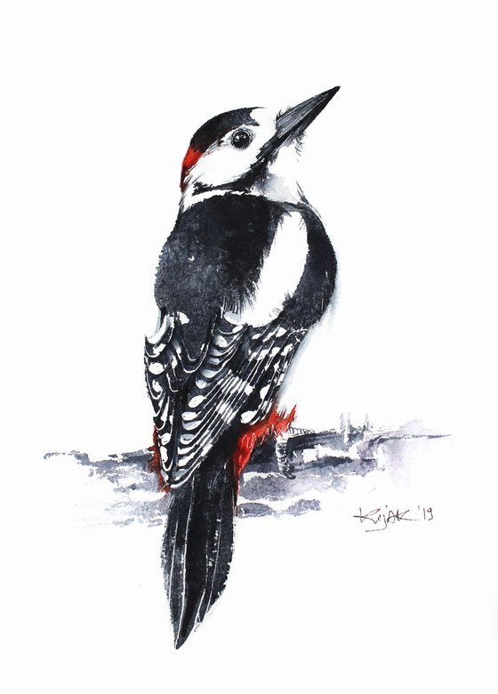 Great woodpecker, wildlife, birds and animals
