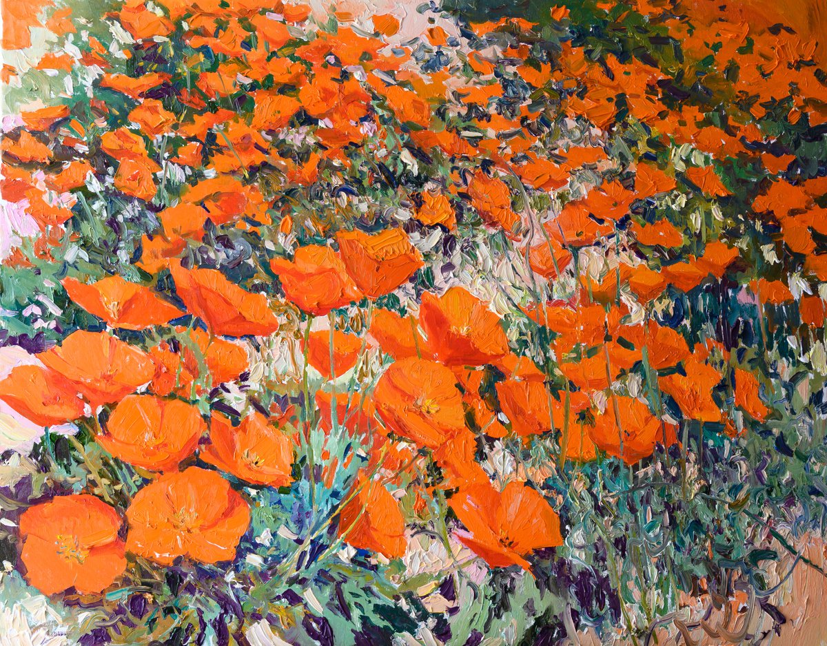 California Poppies by Suren Nersisyan