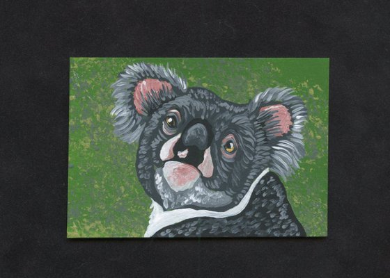 ACEO ATC Original Painting Koala Bear Wildlife Art-Carla Smale