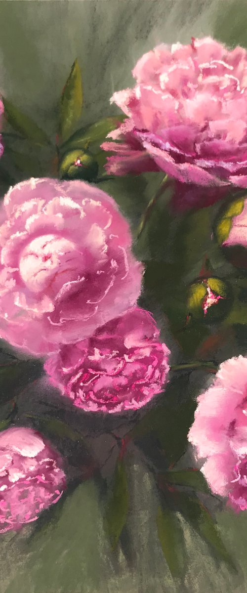 Peonies from my Garden #3 by Nataly Mikhailiuk