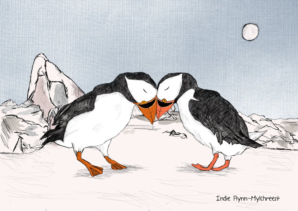 Puffy Puffin Friends 2 by Indie Flynn-Mylchreest of MeriLine Art