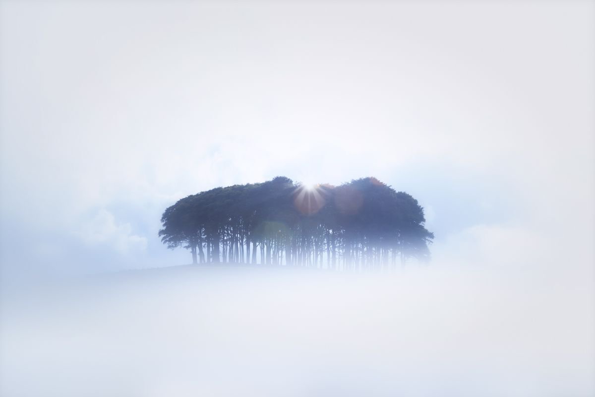 Impressionistic Landscape Photograph By Paul Nash, 24 X 16", Coming Home Trees In The Mist, Original Artwork
