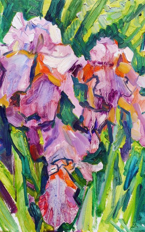 Violet Irises (plein air) by Dima Braga
