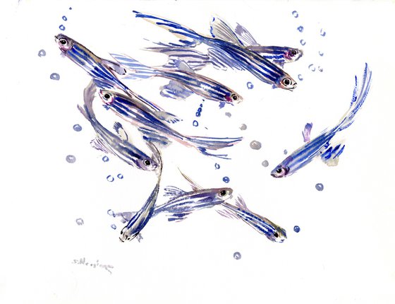 Danio, Zebrafish Aquarium art