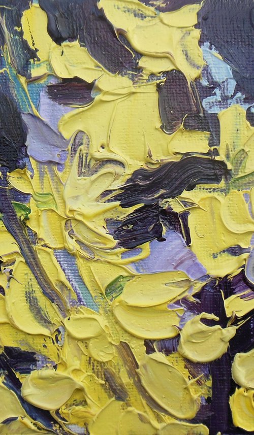 Forsythia - Golden Yellow by Ben McLeod