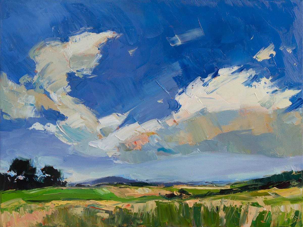 Impressionistic Landscape Oil Painting By Daria Zavadenko, 16 X 12, Endless Summer Air, Original Artwork