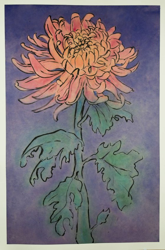 A Chrysanthemum for my dear Devo