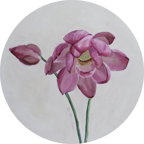 pink flowers - lotus by Zhao Hui Yang
