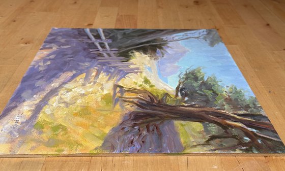 Pfeiffer Beach Entrance