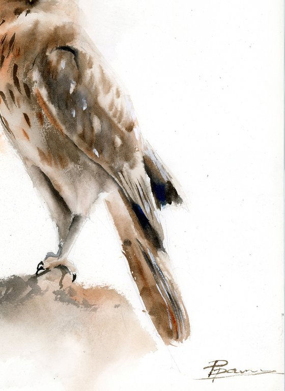 Young Owl