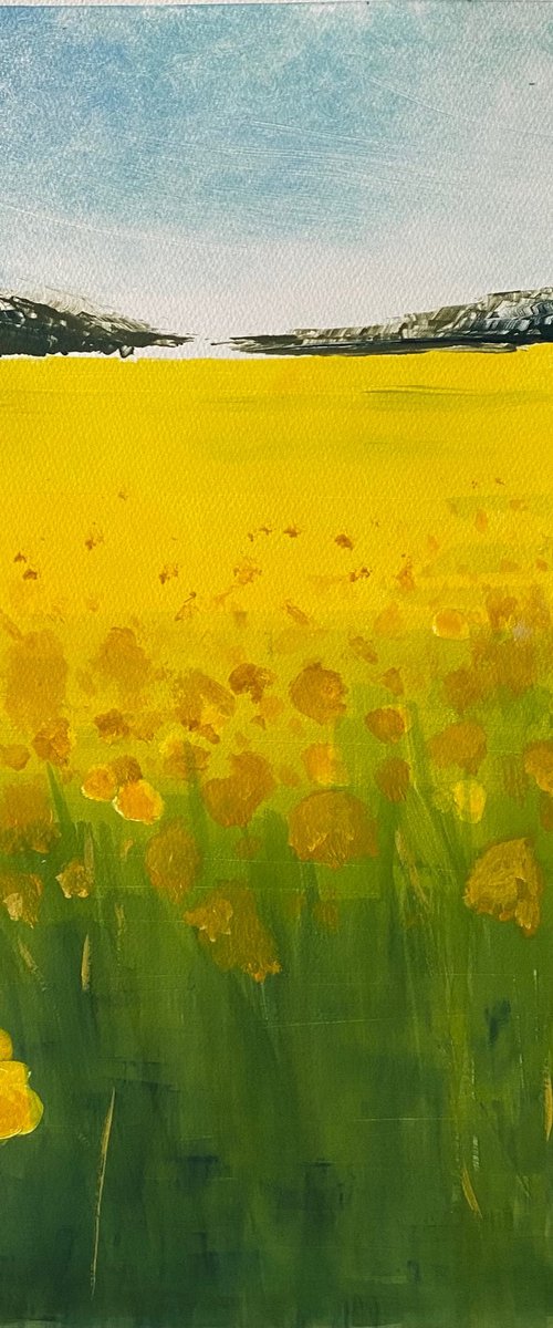 Summer Field by Rebecca Denton