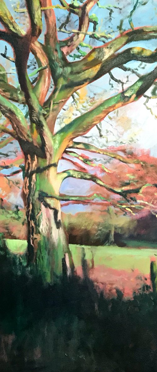 Trees near Bramshaw by John Welsh