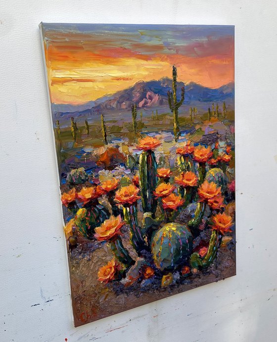 "Flowering cacti "