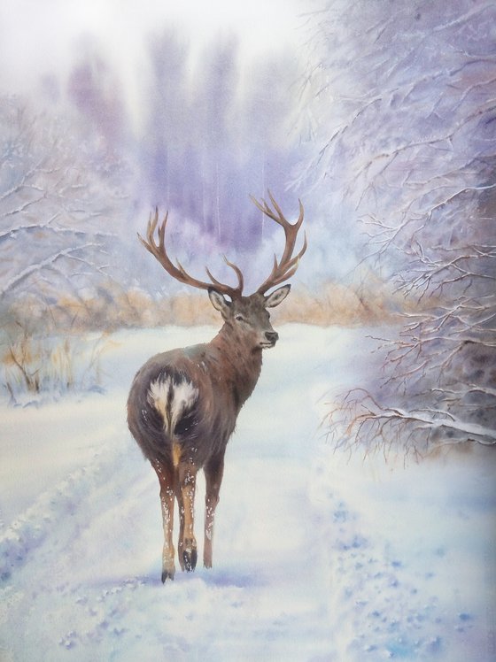 Follow Me!  - Stag Deer in Winter Forest - Christmas gift