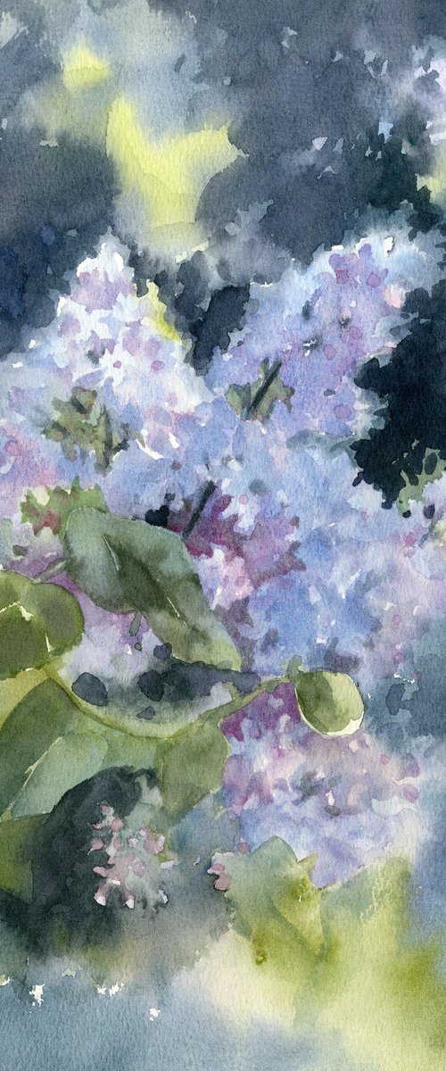 May lilac by Yulia Evsyukova