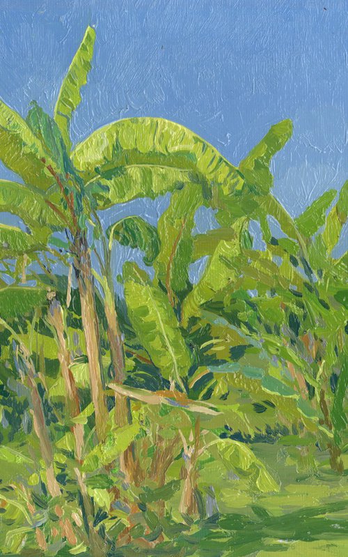 Banana trees. Belek by Simon Kozhin
