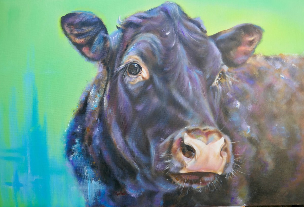 Boy Blue - Sussex Red (brown) Cow/Bull original oil painting 30x20 by Carol Gillan