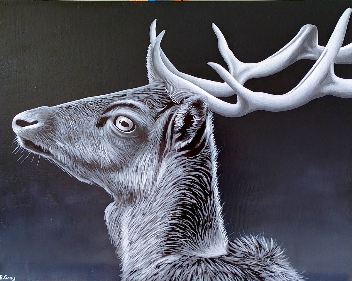 Deer by Barry Gray