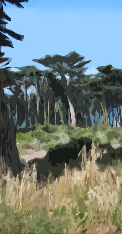 Point Lobos, San Francisco by HAL BOHNER