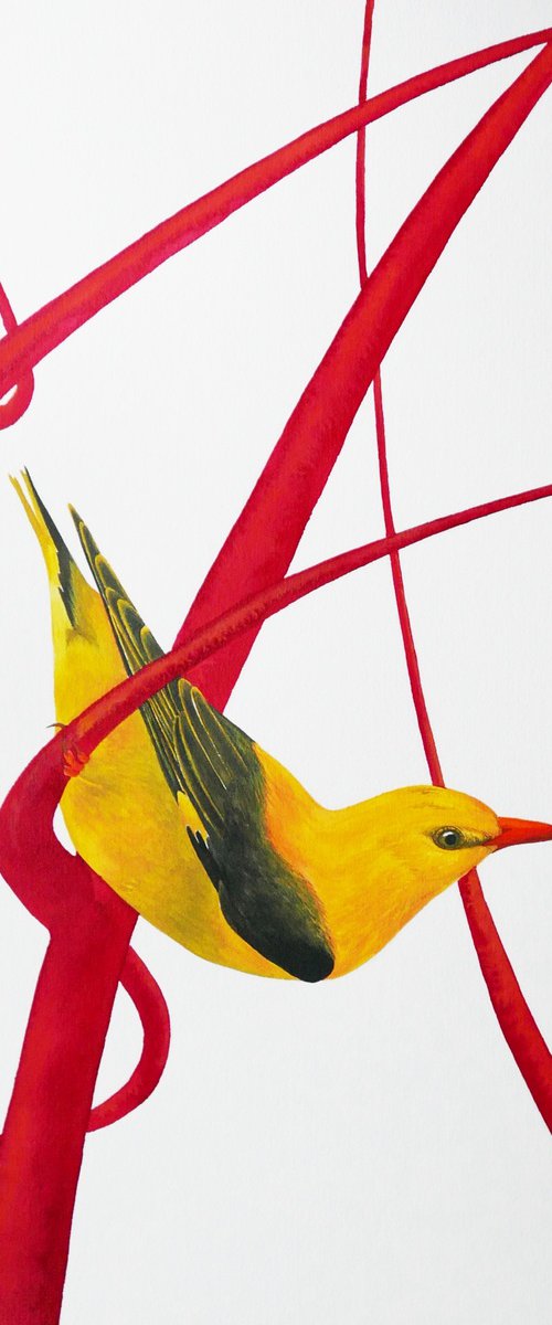2 sisters collection: Golden oriole 1 by Karina Danylchuk