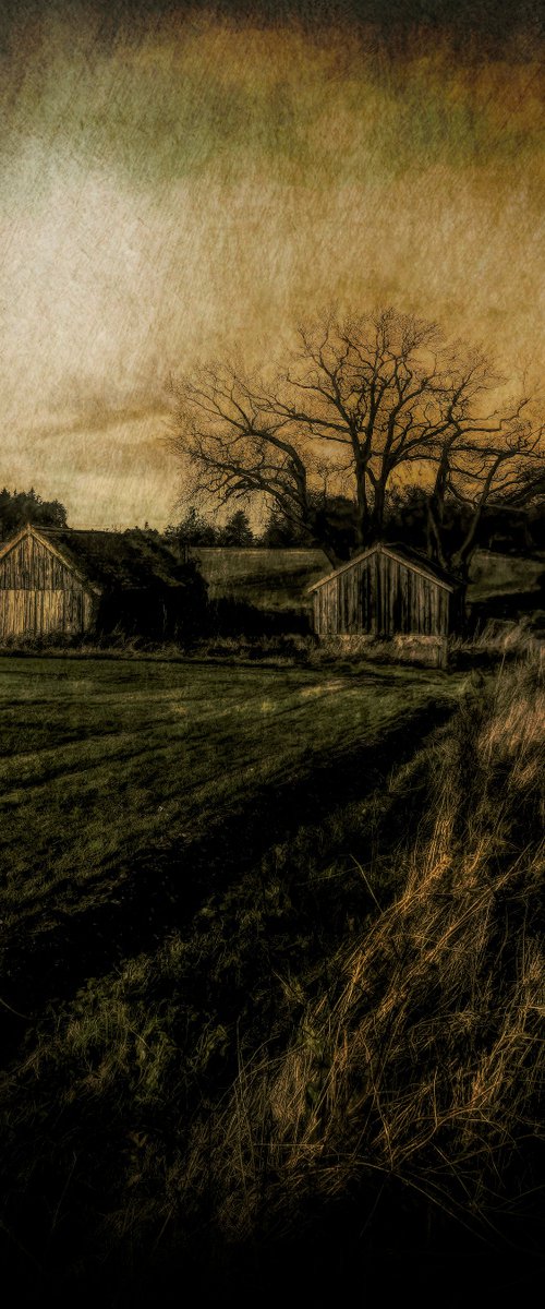 Sunset Barns by Martin  Fry