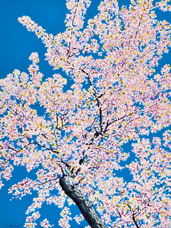 Cherry Blossom #10