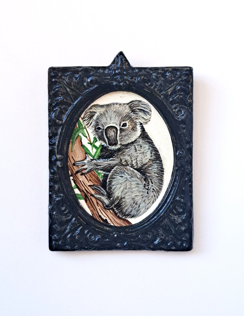 koala, part of framed animal miniature series festum animalium by Andromachi Giannopoulou