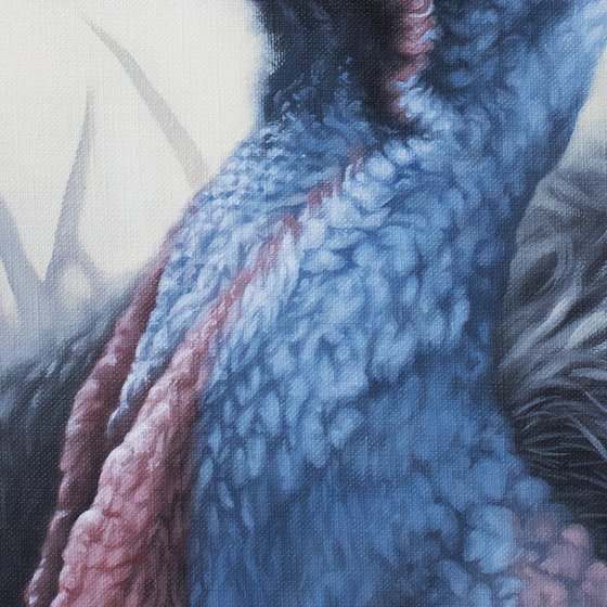 Legendary Blue / Cassowary
