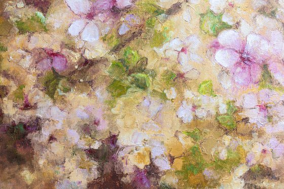 Cherry Blossom Season