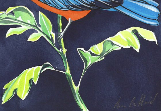 Bluebird and Chrysanthemum