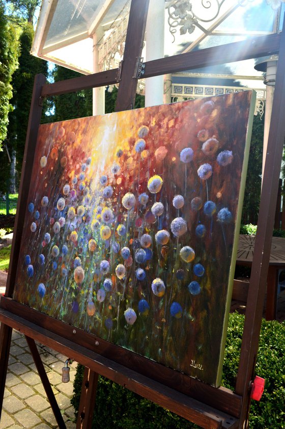 Dandelions at sunrise