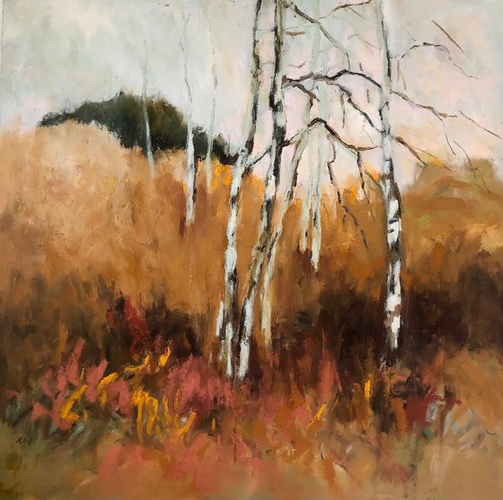 Spindly Birches