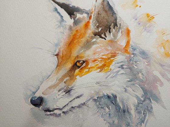 Fox I  watercolour