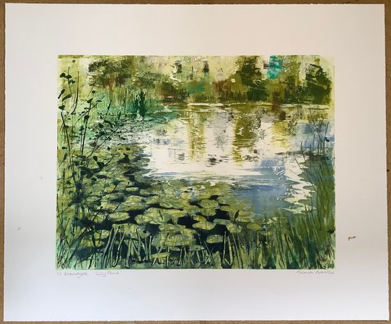 Lily pond