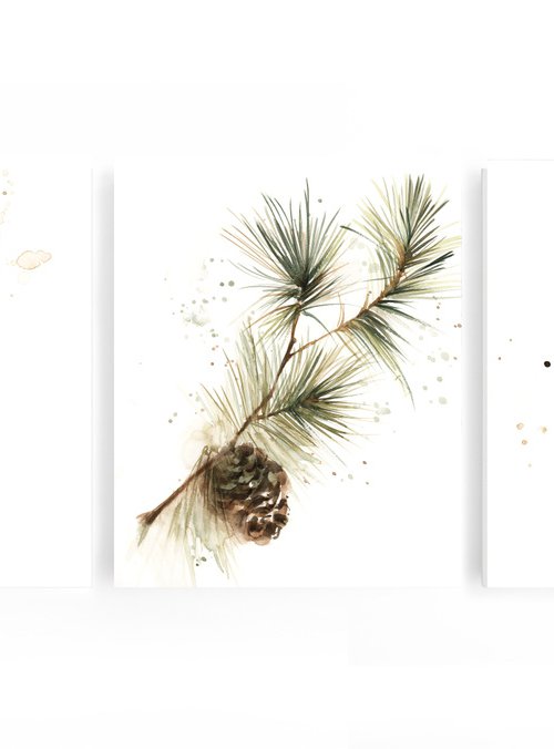 Pine Tree Branches with Pine Cones watercolor paintings 3 set by Sophie Rodionov