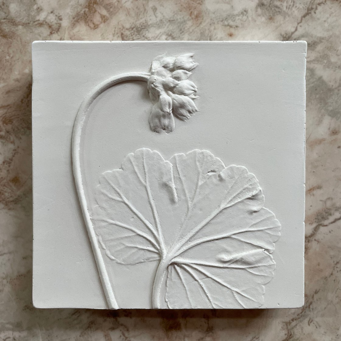 Plaster cast tile Plaster wall art Nigella botanical cast