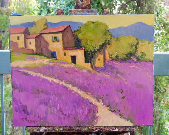 Lavender in French Villa