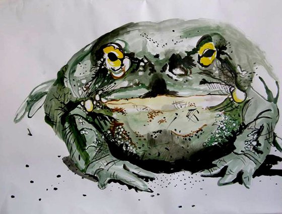 frog